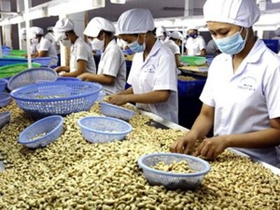 xuat khau dieu 2 thang dau nam dat 169 trieu usd