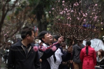 Ba ngày Tết Âm lịch: Miền Bắc sẽ lạnh và mưa nhỏ