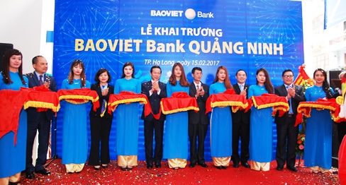 Bảo việt quảng ninh