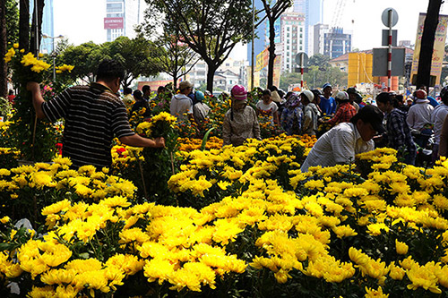 TP. Hồ Chí Minh có khoảng 130 chợ hoa Tết 2018