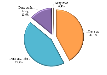 tổng cục hải quan