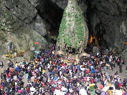 Nở rộ tour du lịch hành hương, ngắm hoa xuân