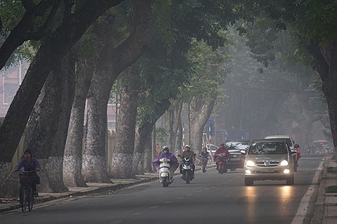 Bắc Bộ mưa phùn và sương mù rải rác, Nam Bộ nắng nóng