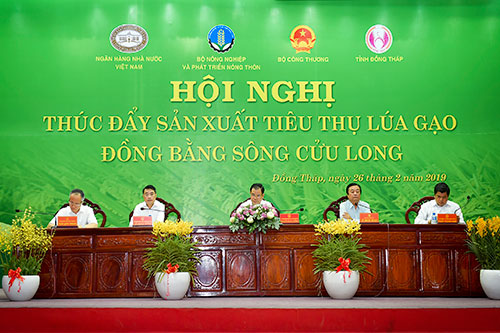hội nghị