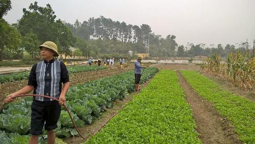 Bình Thuận: Huyện Tuy Phong giảm nghèo chưa bền vững