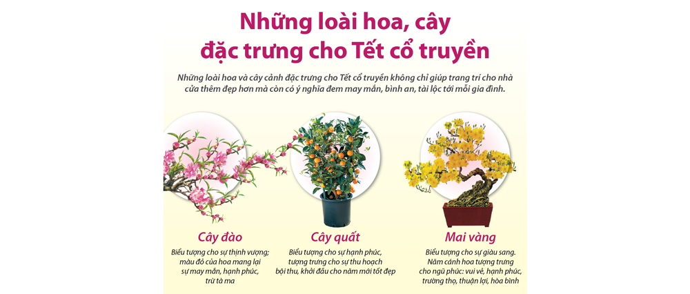 Inforaphics: Những loài hoa, cây đặc trưng cho Tết cổ truyền