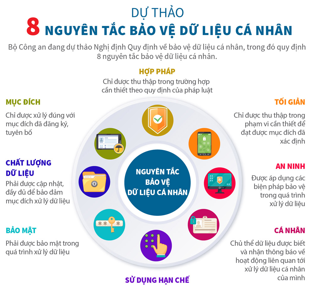 Infographics Dự Thảo 8 Nguyên Tắc Bảo Vệ Dữ Liệu Cá Nhân Thời Báo Tài Chính Việt Nam 6151