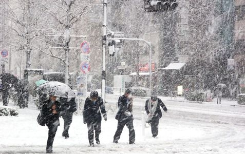 nganh bao hiem thiet hai hang ty usd do thoi tiet that thuong