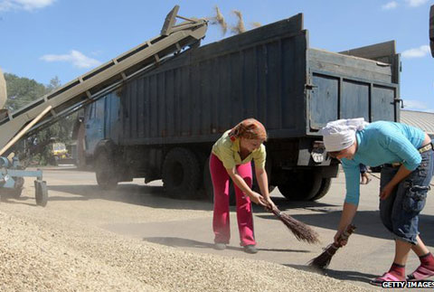 Căng thẳng tại Ukraine đẩy giá lúa mỳ tăng cao