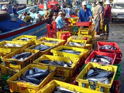 xuat khau 2 thang dau nam cua kien giang dat gan 60 trieu usd