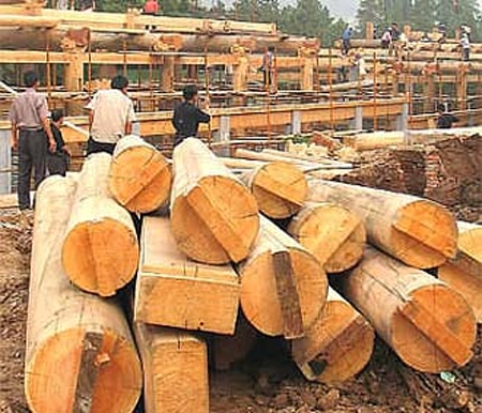 Cá anh vũ, gỗ tròn từ rừng tự nhiên sẽ bị cấm xuất khẩu