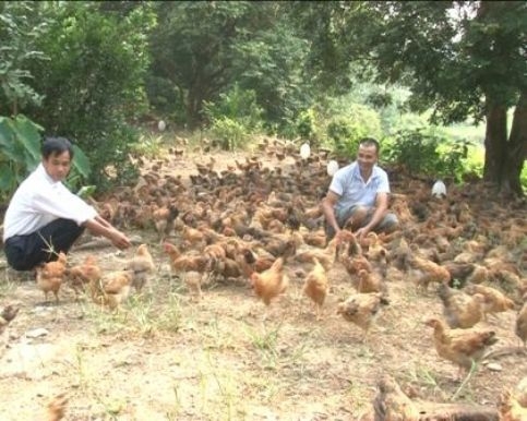 tay ninh tren 80 nghin ho ngheo duoc vay von uu dai