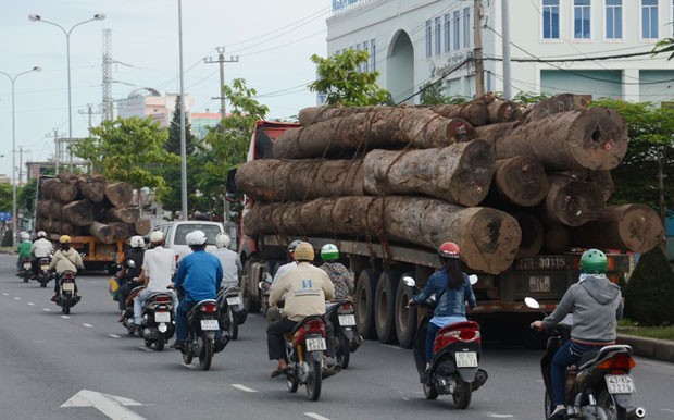 Tổng cục Đường bộ đề nghị xử lý hình sự hành vi chở hàng quá tải