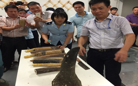 Chống buôn lậu dịp Tết 2016: Nộp ngân sách hơn 3.100 tỷ đồng