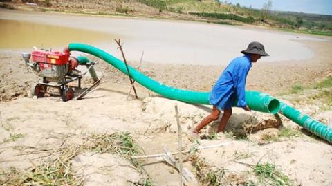 Ngành nông nghiệp đề xuất Chính phủ hỗ trợ kinh phí chống hạn đợt 2