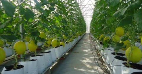 agribank