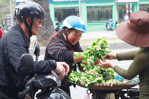 Rằm tháng Giêng, hoa bưởi được dịp đắt khách