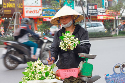 hoa được bó thành chùm