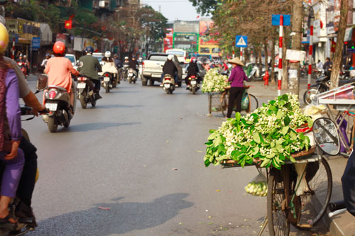 hoa bưởi trong ngày nóng