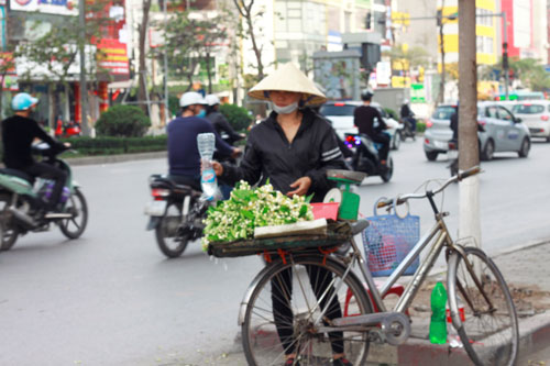 tưới hoa