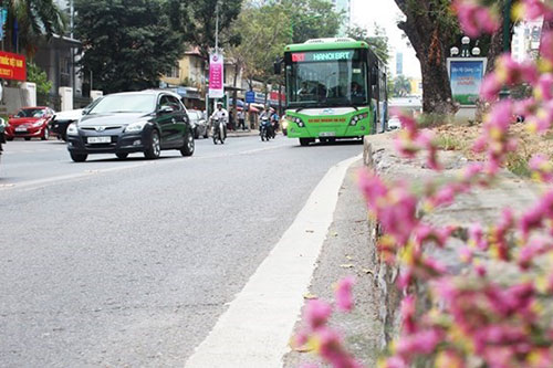 Hà Nội: Dừng triển khai tuyến buýt nhanh BRT 02 Kim Mã-Hòa Lạc