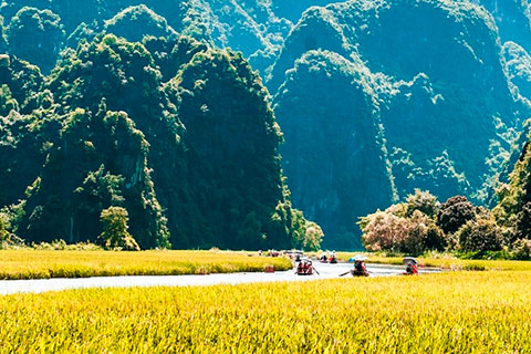 Tuần du lịch Ninh Bình 2018 ‘Sắc vàng Tam Cốc