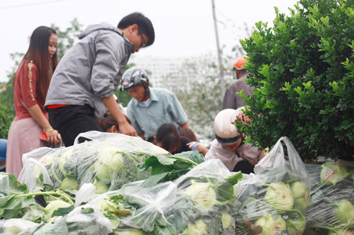 Hà Nội: Sinh viên chung tay “giải cứu” nông sản Việt