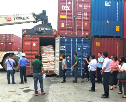 Hải quan Hải Phòng xử lý 32 container tồn đọng tại cảng