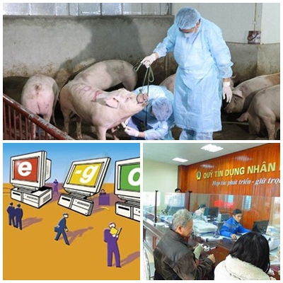 Chỉ đạo, điều hành của Chính phủ, Thủ tướng Chính phủ nổi bật tuần từ 11 - 15/3/2019