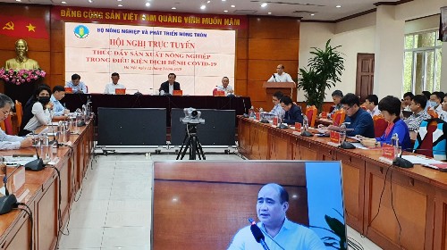 Giảm giá thịt lợn để bảo vệ thị trường chăn nuôi phát triển bền vững