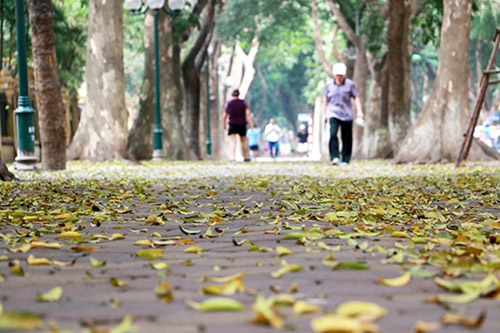 Thời tiết ngày 14/3: Bắc Bộ trời chuyển lạnh, Trung Bộ có thể xảy ra lốc, sét, mưa đá