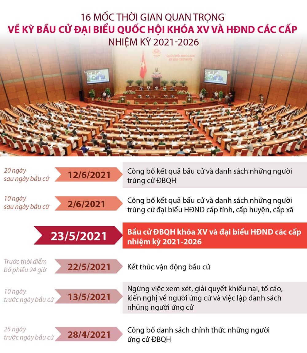 bầu cử