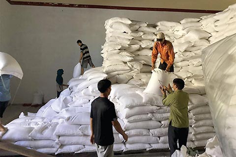 Chấm điểm uy tín nhà thầu trong đấu thầu mua gạo dự trữ quốc gia: Đảm bảo công bằng, tăng tính cạnh tranh