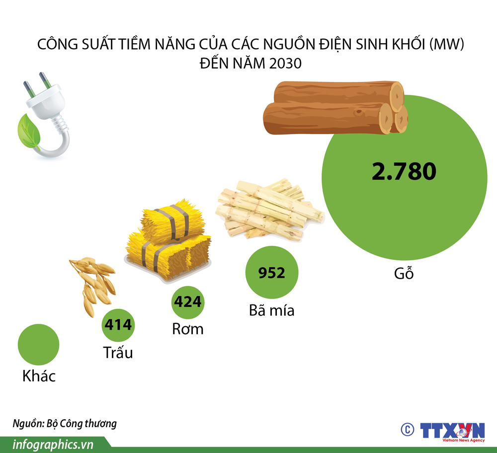 Tiềm năng điện sinh khối của Việt Nam