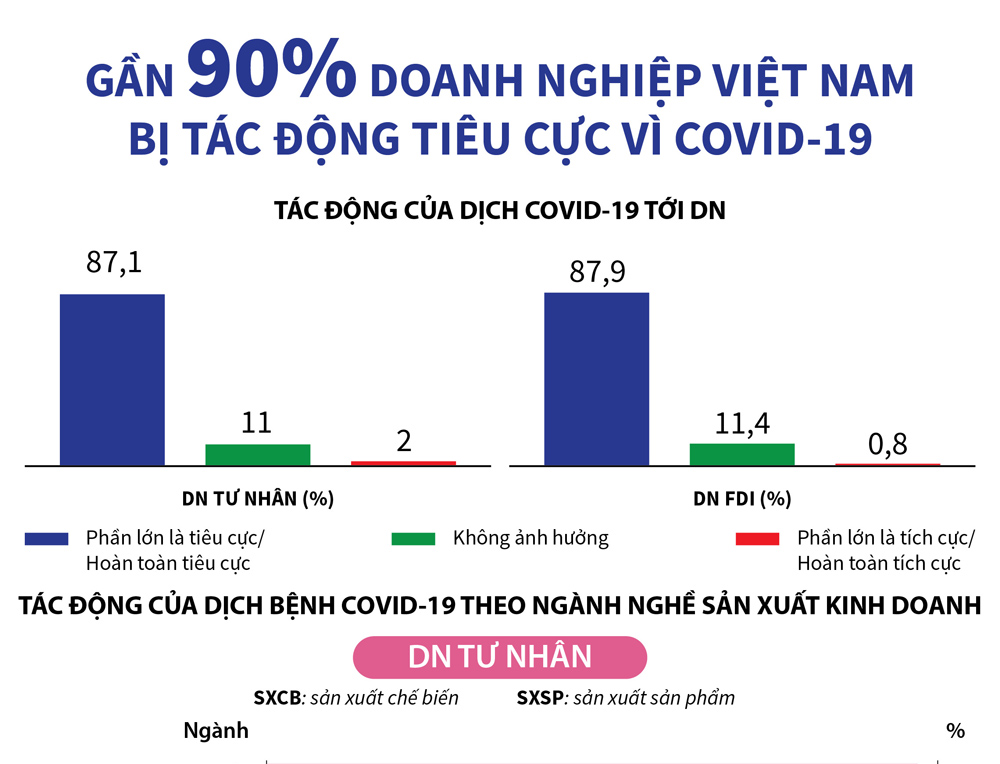 DN Việt 1