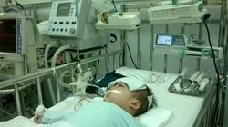 bo sung hon 80 ty dong va 12 may tho de phong chong benh soi