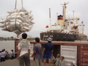 Bảo hiểm tín dụng xuất khẩu: Gỡ khó để thu hút doanh nghiệp