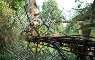 lao cai 2 nguoi bi set danh hang chuc ngoi nha bi hu hong nang do mua da gio loc