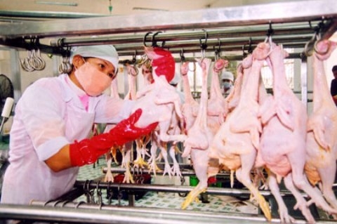 Hà Nội: Phát hiện 238 vụ vi phạm an toàn vệ sinh thực phẩm