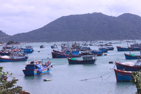 bảo hiểm tàu cá