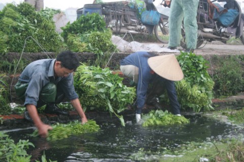 Bài 1: Nông dân – thủ phạm hay nạn nhân?