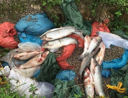 Quảng Ninh: Bắt giữ 4 tấn thực phẩm nhập lậu