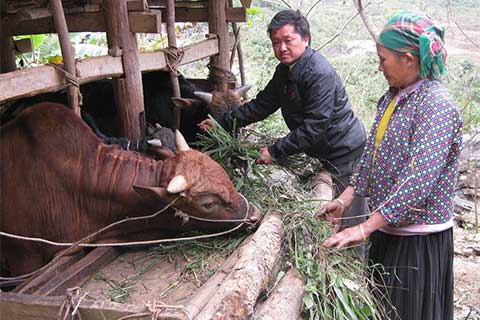 Áp dụng chuẩn nghèo đa chiều: Năm 2016, ngân sách tăng chi 15 nghìn tỷ đồng