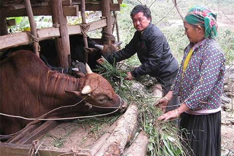 ap dung chuan ngheo da chieu nam 2016 ngan sach tang chi 15 nghin ty dong