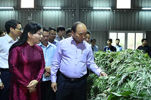 dược liệu