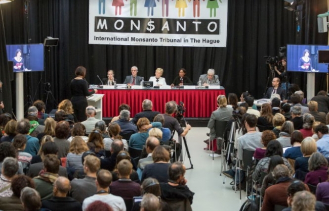 Tập đoàn hóa chất Monsanto bị 29 nghị sĩ châu Âu theo dõi