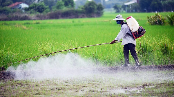 “Thuốc diệt cỏ thuộc loại hạn chế sử dụng” phải chịu thuế bảo vệ môi trường