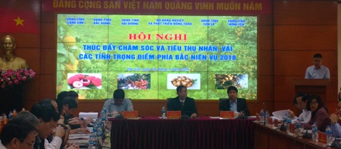 Vải nhãn