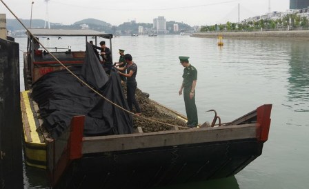 Quảng Ninh: Bắt giữ, tiêu hủy 5 tấn hàu giống nhập lậu