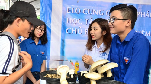 Thúc đẩy phong trào thanh niên khởi nghiệp vì mục tiêu xã hội
